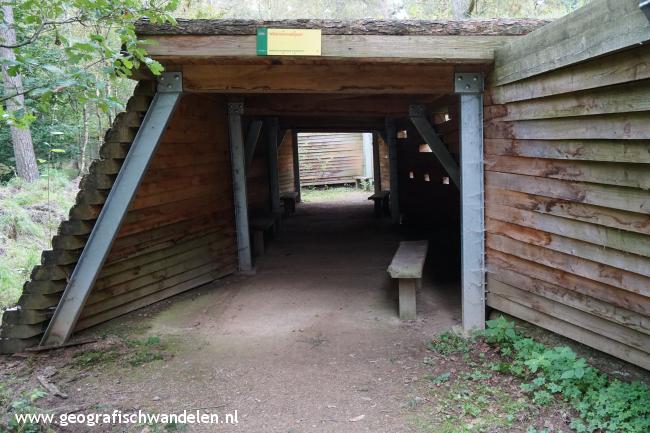 Wildobservatieplaats De Loenermark