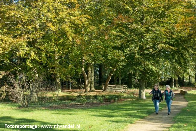 Groene Wissel Baarlo