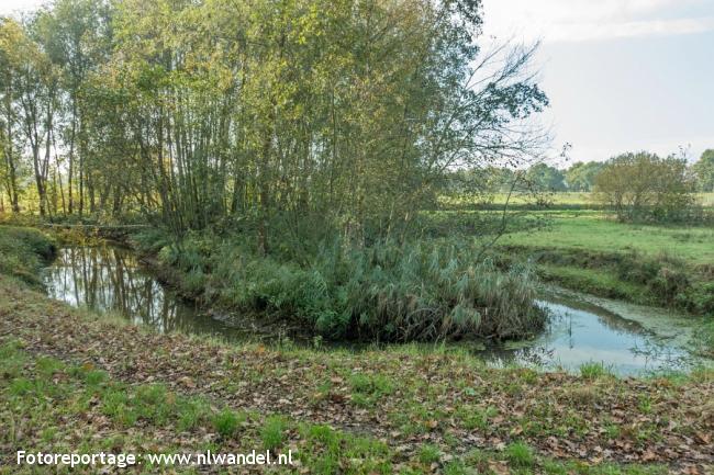 Groene Wissel Roggel 2