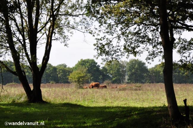 Wandelvanuit Noordlaren