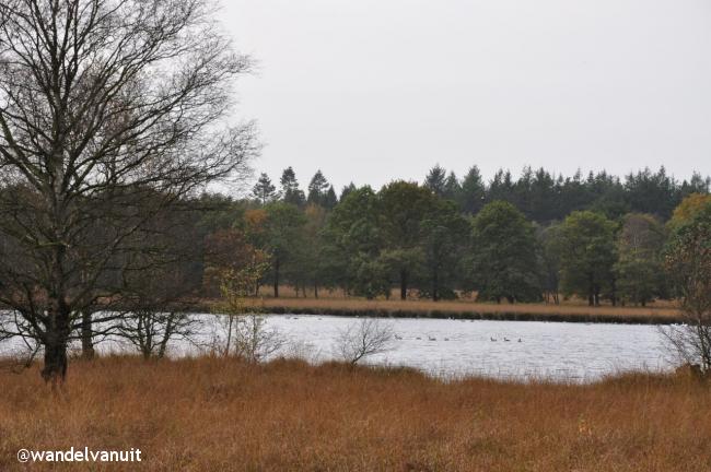 Wandelvanuit Duurswouderheide