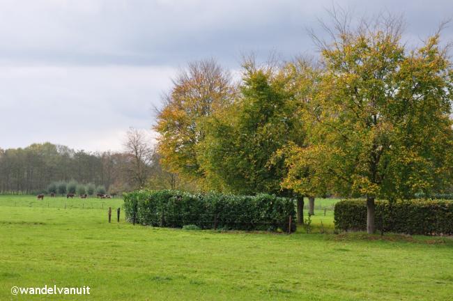 Wandelvanuit Lichtenvoorde