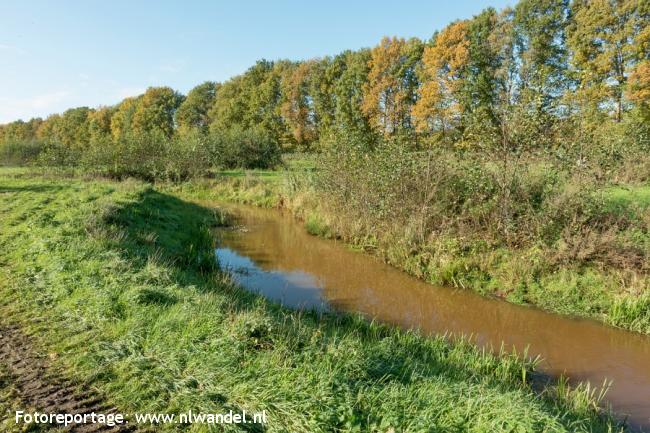 Groene Wissel Mill