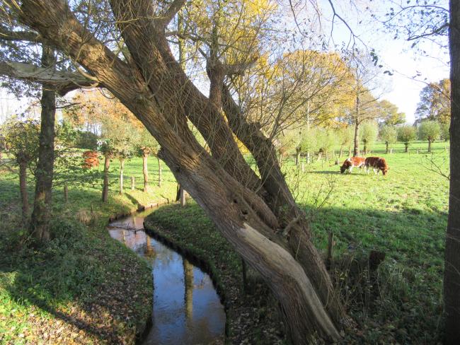 De Smallertse Beek 