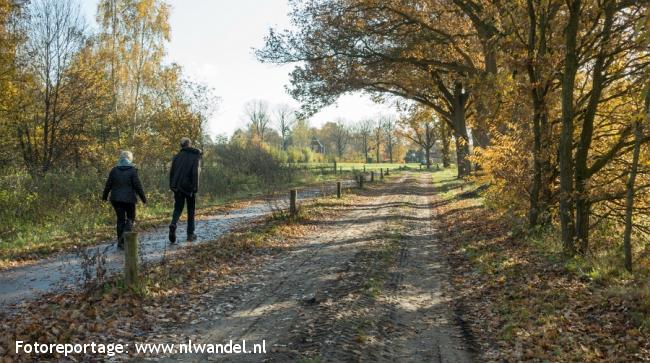 Groene Wissel Nistelrode