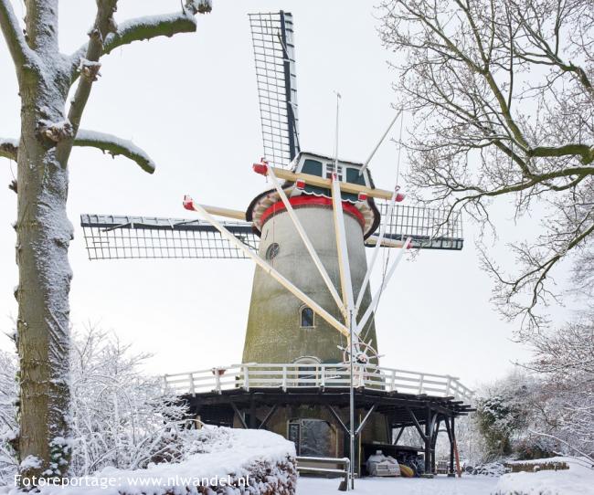 Rhenen, Binnenmolen