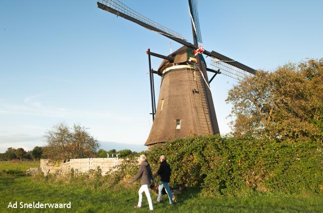 Kinderdijk