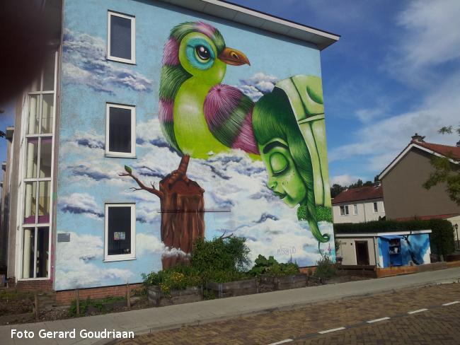 Street art in de Vogelbuurt-1
