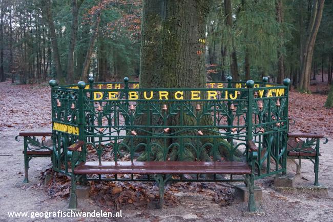 Rondje Lunterse Buurtbosch