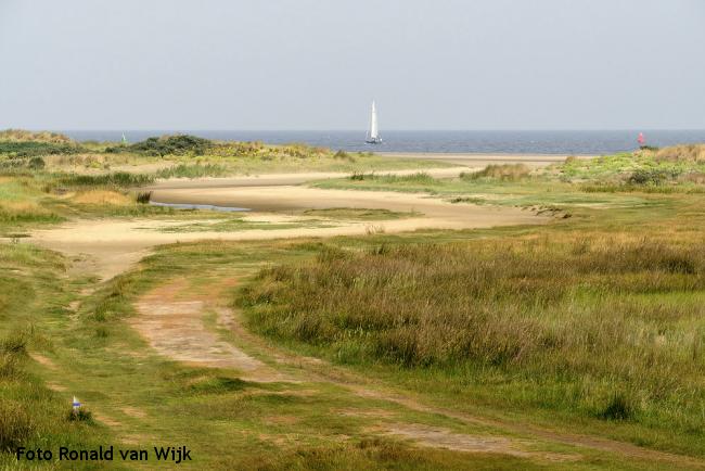 Hotspot Bloeiende duinen: Kwade Hoek, Goeree