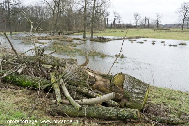 Groene Wissel Roermond 1