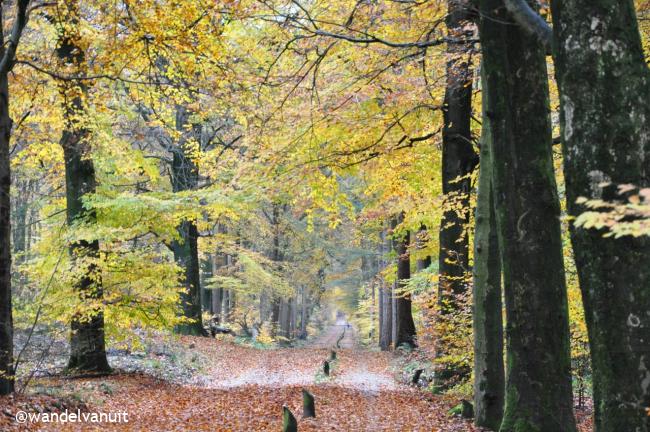 wvu wandeling Putten