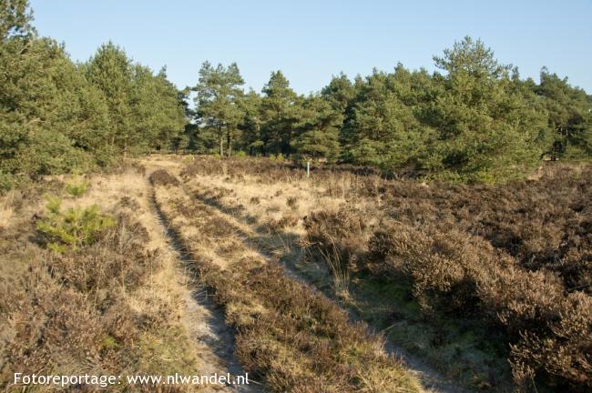 Groene Wissel Ede Centrum