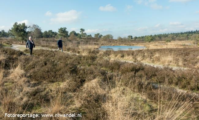 Groene Wissel Afferden LB