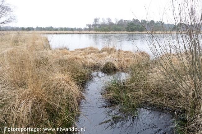 Kampina, Huisvennen