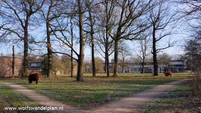 Trage Tocht Doetinchem (stadse tocht)