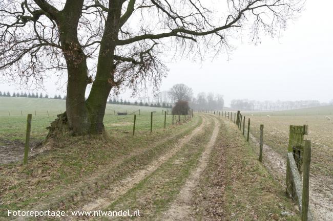 Groene Wissel Sittard 1