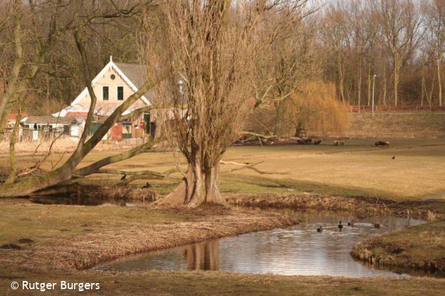 Trage Tocht Amsterdam West (stadse tochten)