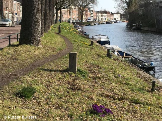 Trage Tocht Utrecht (stadse tochten)