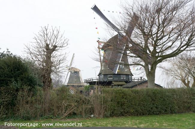 Molens de Eendragt en de Vriendschap