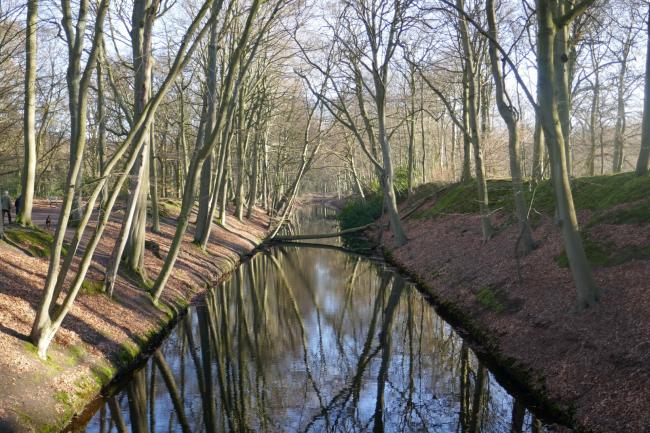 Tussen Bosjes van Zanen en Clingendael