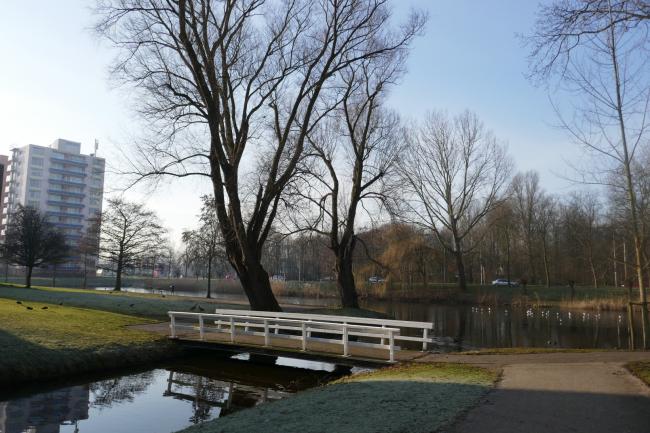 Plantsoen nabij Lozerlaan