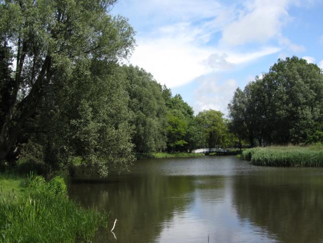 De Haagse Beek in de Segbroekstrook