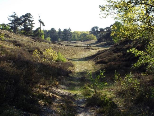 Langs de Putjesberg