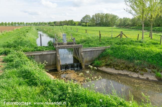 Groene Wissel Steenderen