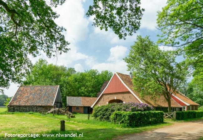 Groene Wissel Winterswijk 2