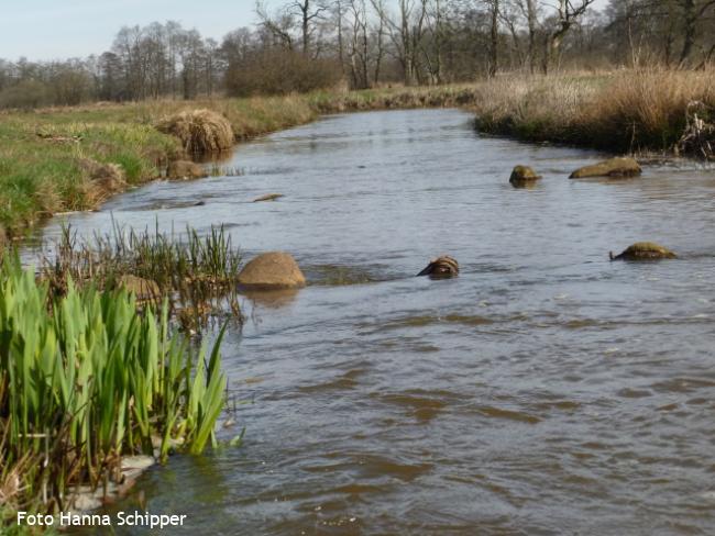 Deurzerdiep