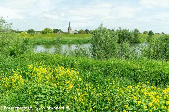 Uiterwaard Ophemert