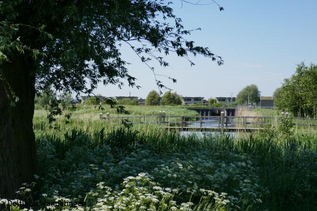 Zicht op Rijswijk