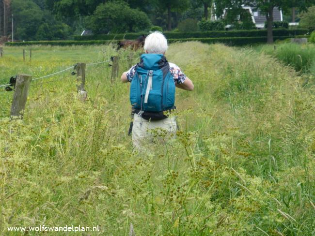 Trage Tocht Schalkhaar