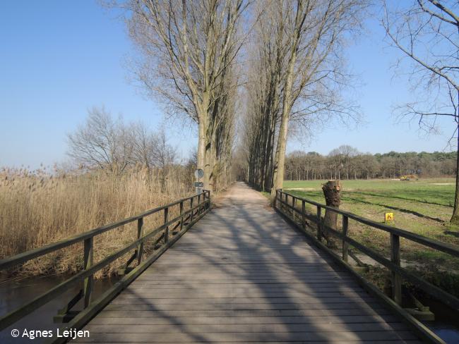 Brug over de Dommel waar de watermolen van Wolfswinkel heeft gestaan