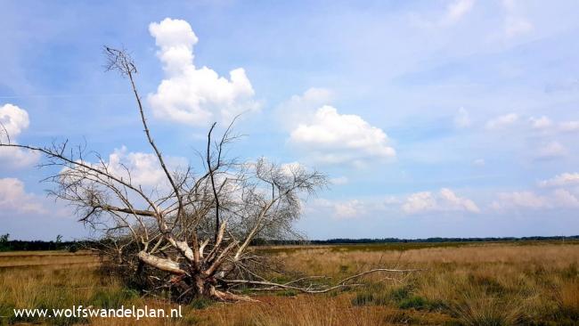 Trage Tocht Leenderstrijp