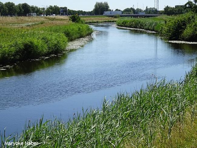 Nieuwe Weteringpad