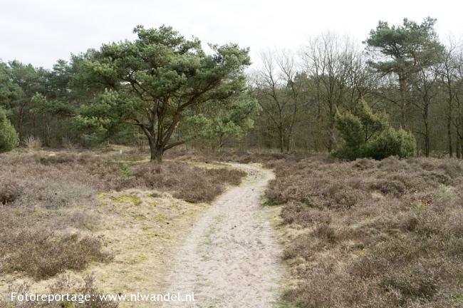 Groene Wissel Hardenberg