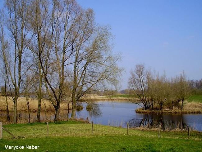 Buitenlanden Langenholte