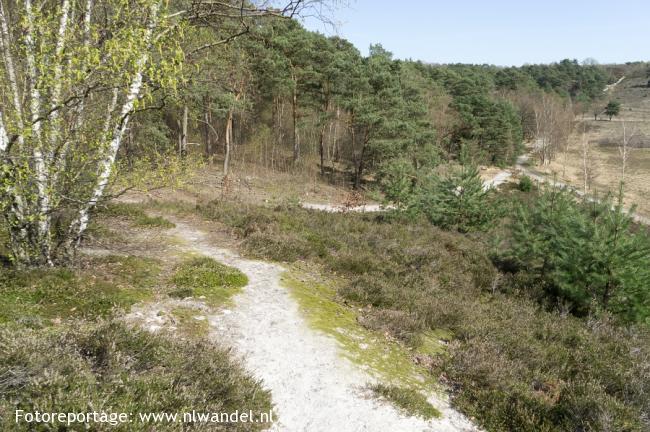 Groene Wissel Heerlen 1