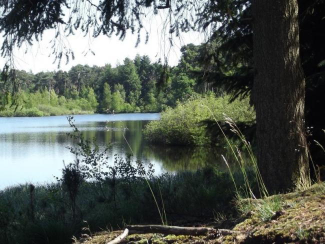 Ven in landgoed de Venrode