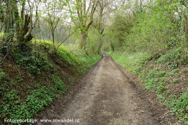 Groene Wissel Schin op Geul