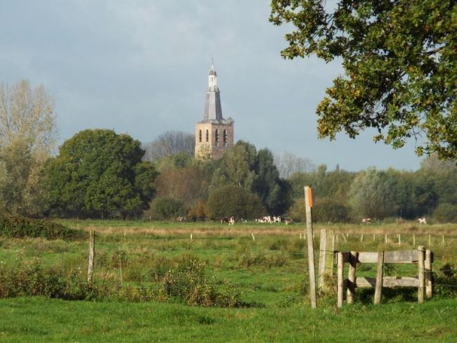 Dommelbeemden