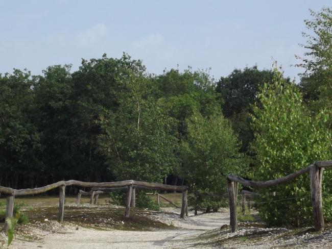 Natuurgebied Molenheide
