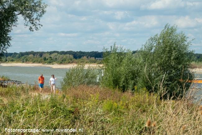 Beuningse Uiterwaarden