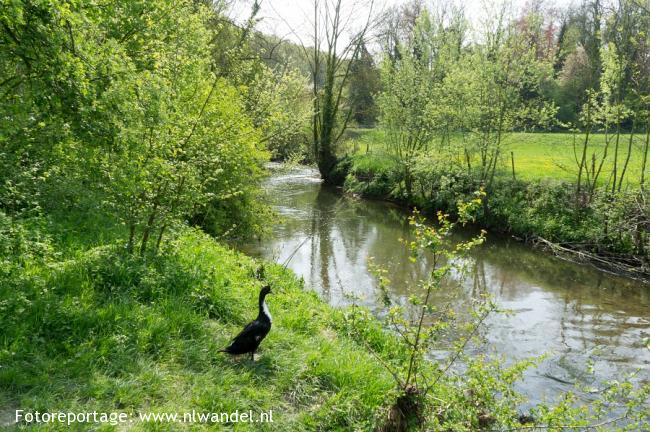 Groene Wissel Houthem - St. Gerlach