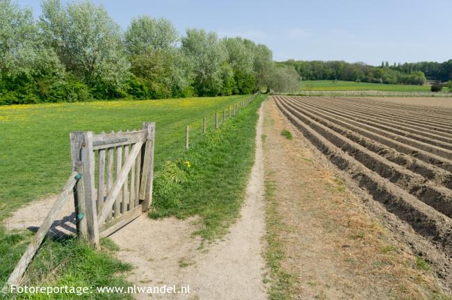 Groene Wissel Meerssen 1