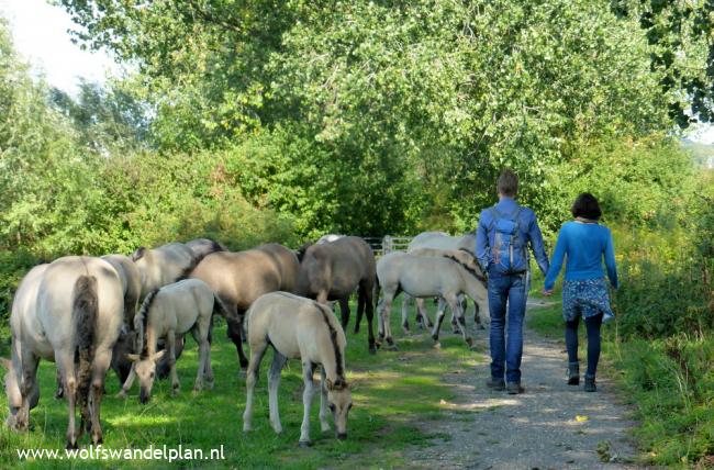 Trage Tocht Arnhem Meinerswijk