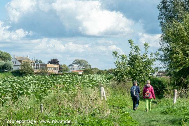 Groene Wissel Ammerzoden