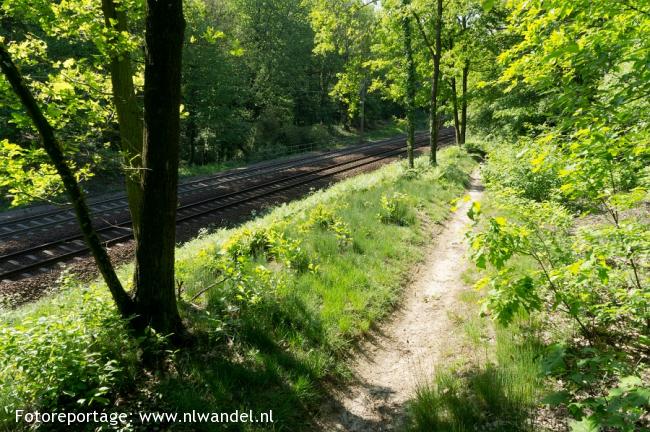 Groene Wissel Venlo 1